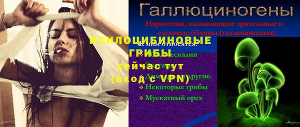 первитин Заводоуковск
