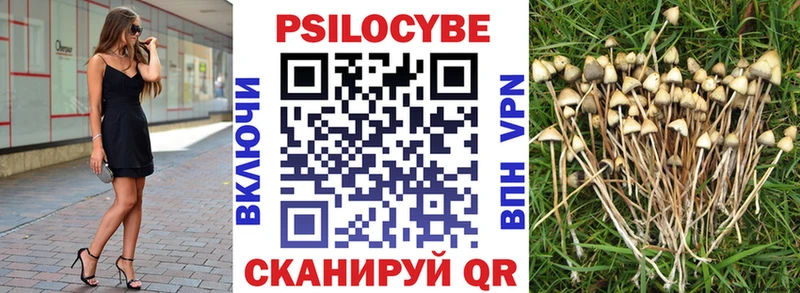Галлюциногенные грибы Psilocybe  Купить  Яранск 